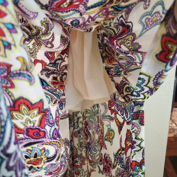 Banana Republic Paisley Floral Pleated Maxi Boho Skirt - Picture 9 of 13